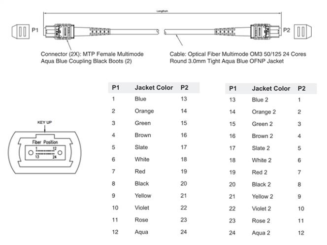 MPO/MTP 24 Position Fiber Cable for Use with SR10 Transceivers